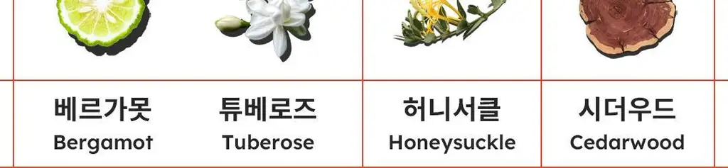 [아이돌 PICK] 스카이보틀 퍼퓸 헤어&바디미스트 100ml 5종 상세페이지 8